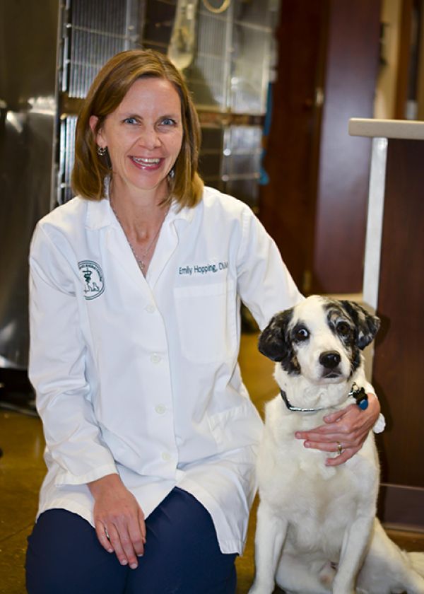 Dr. Emily Hopping Dr. Emily Hopping