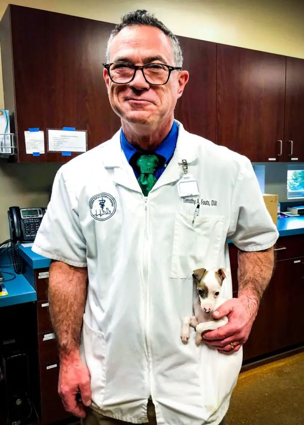 Dr. Tim Fouts Dr. Tim Fouts