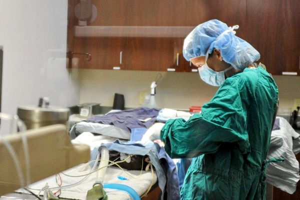Surgeon performing delicate operation