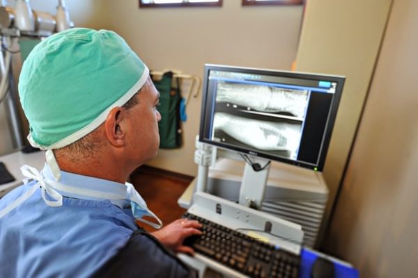 Surgeon viewing X-rays computer