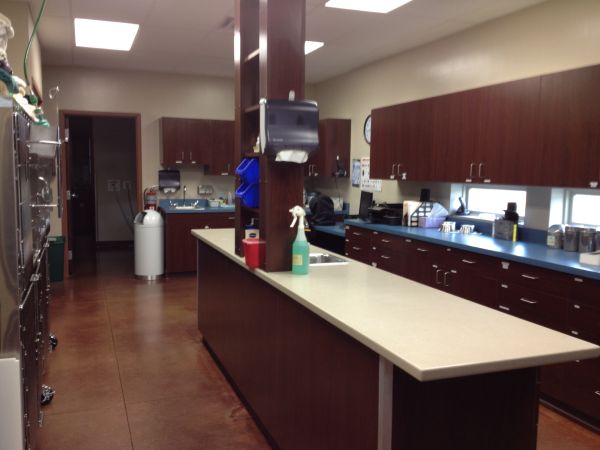Veterinary clinic examination room