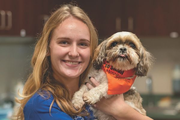 Woman holding small dog Woman holding small dog