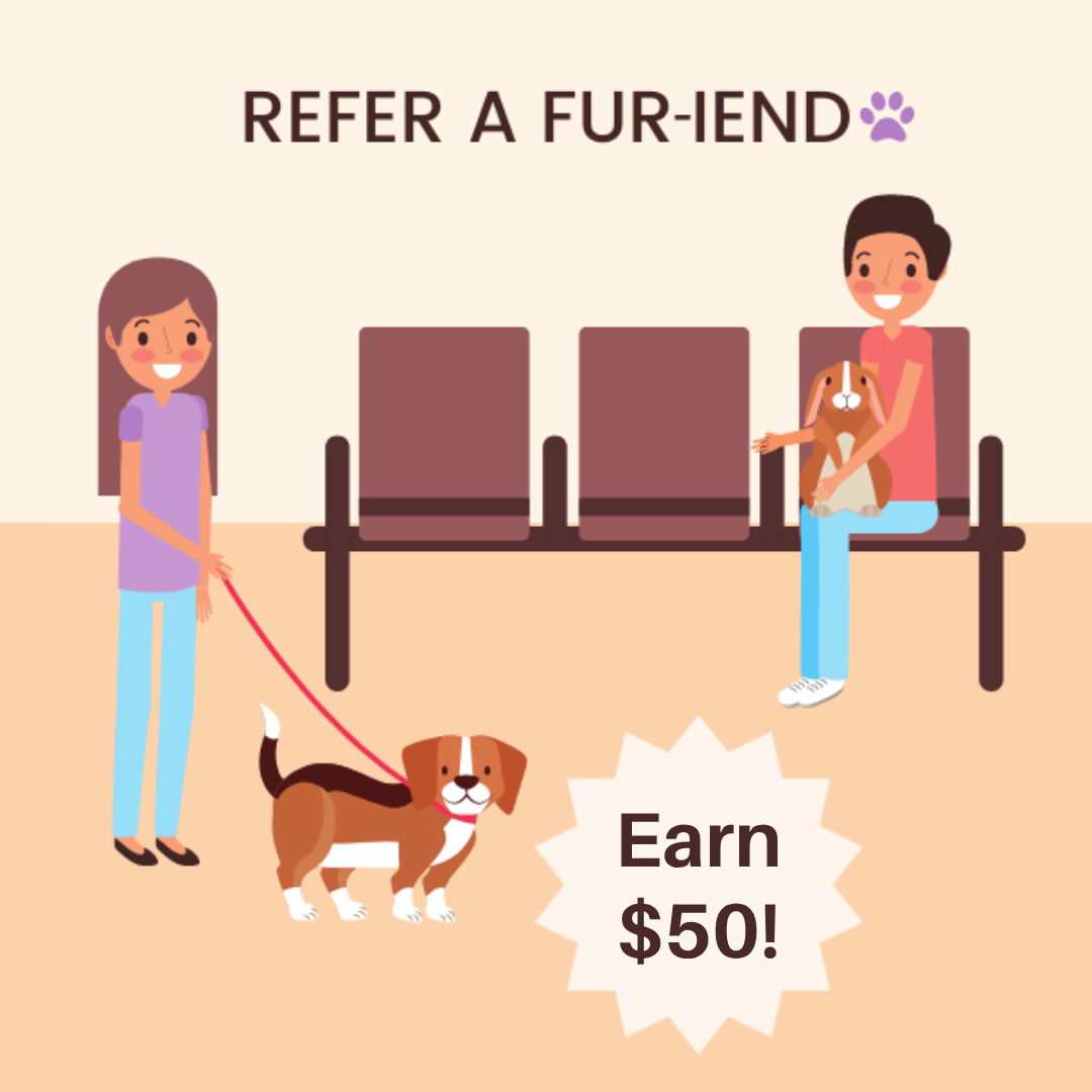 $50 Refurral Refer-a-Fur-iend-Graphic-Image