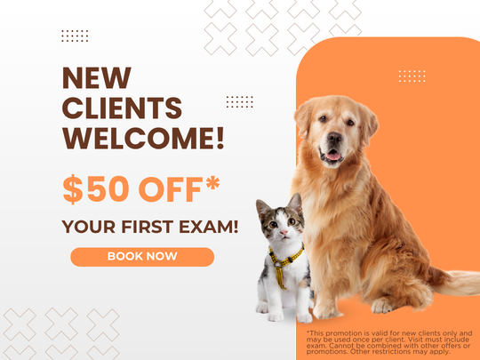$50 off (41) Refer-a-Fur-iend-Graphic-Image